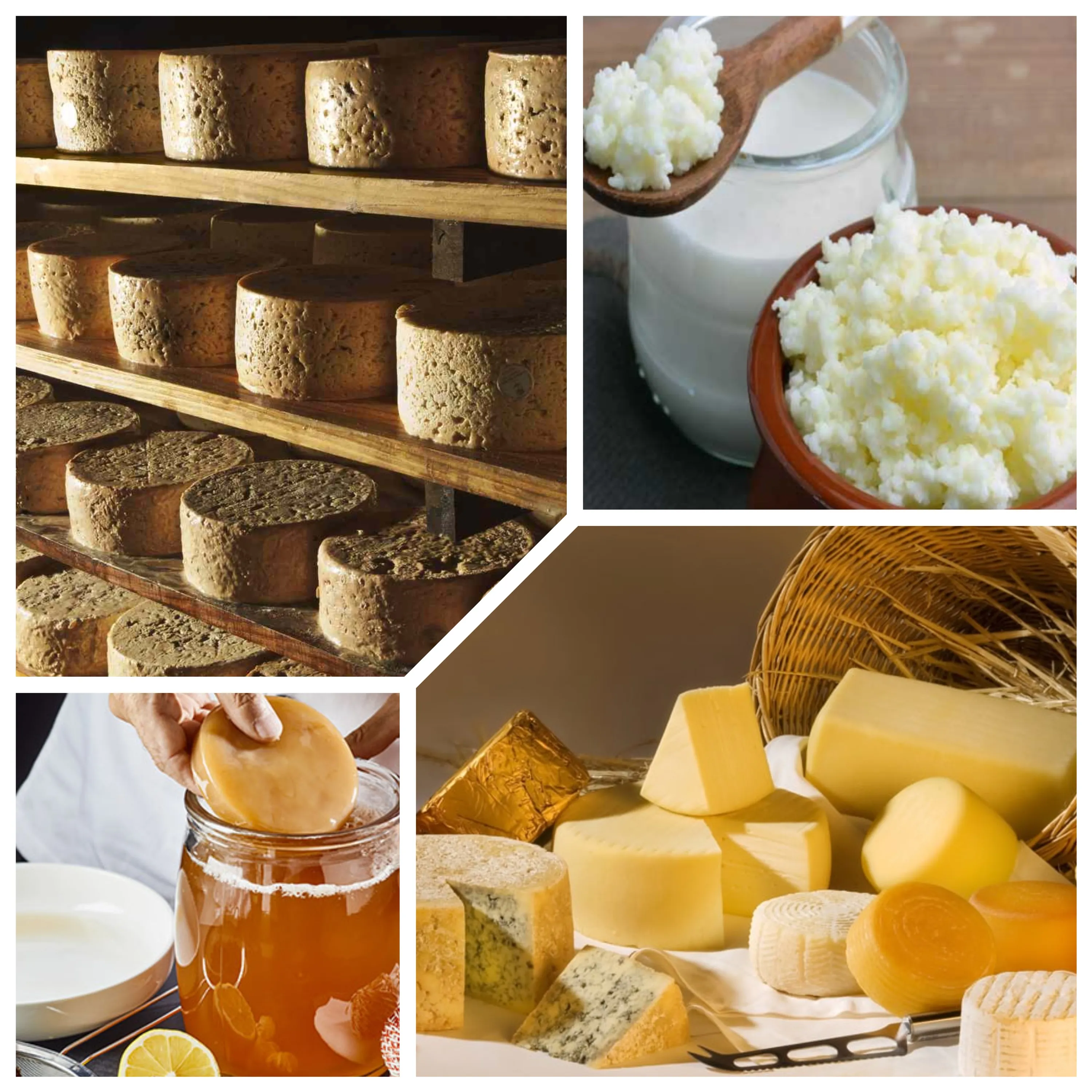 Fermentation & Culture Systems