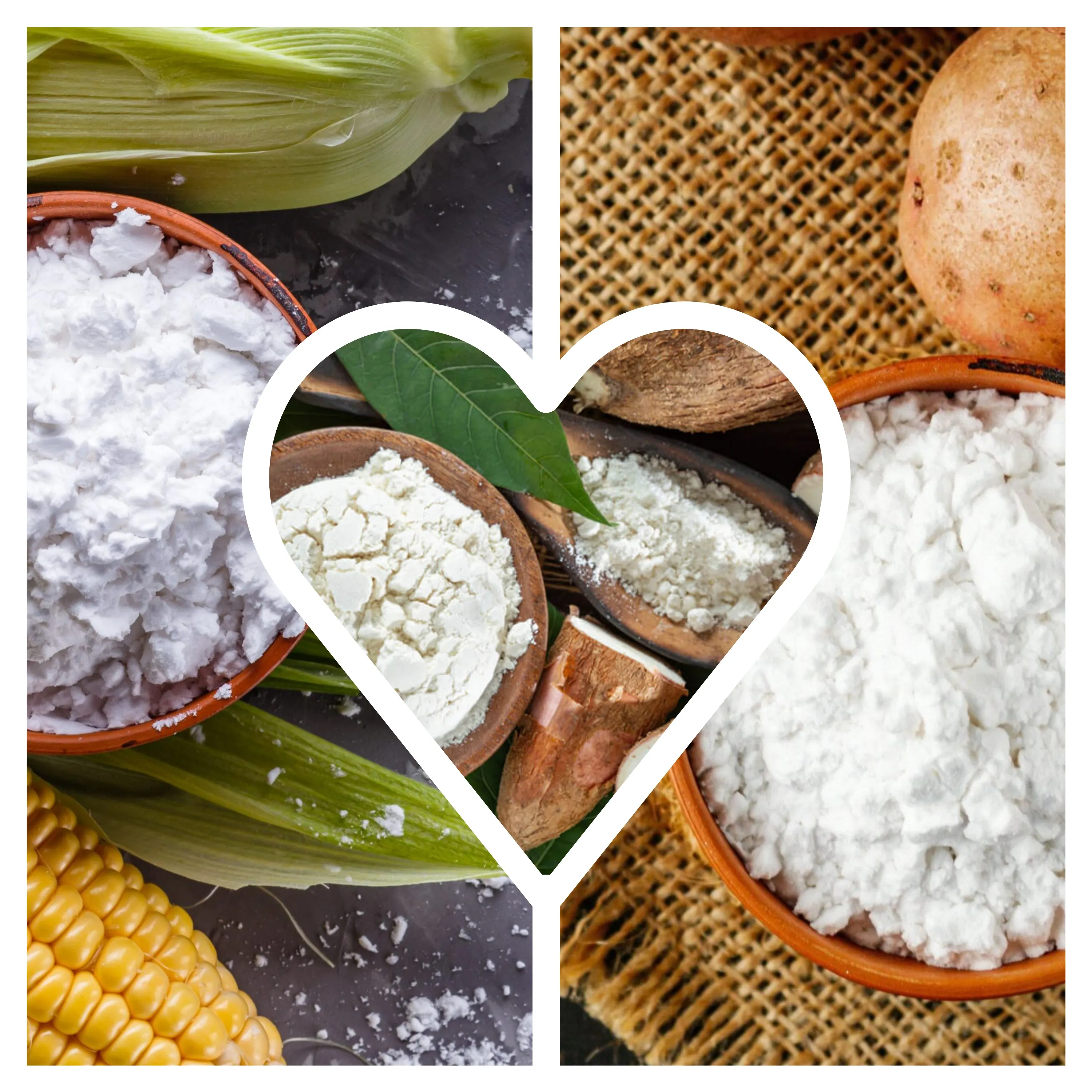 Starches & Functional Carbohydrates